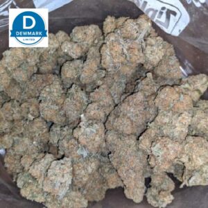 Jack Herer Strain