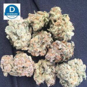 Gelato Strain